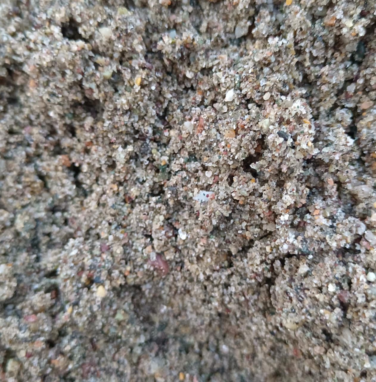 Sand Plaster