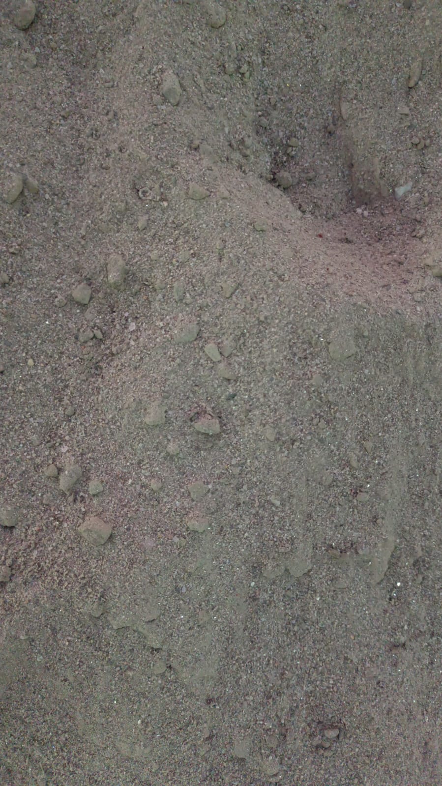 Varat